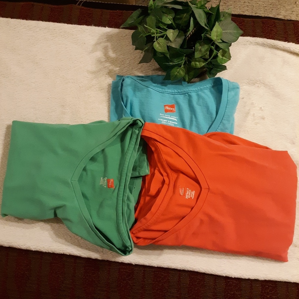 3 Hanes ladies shirts